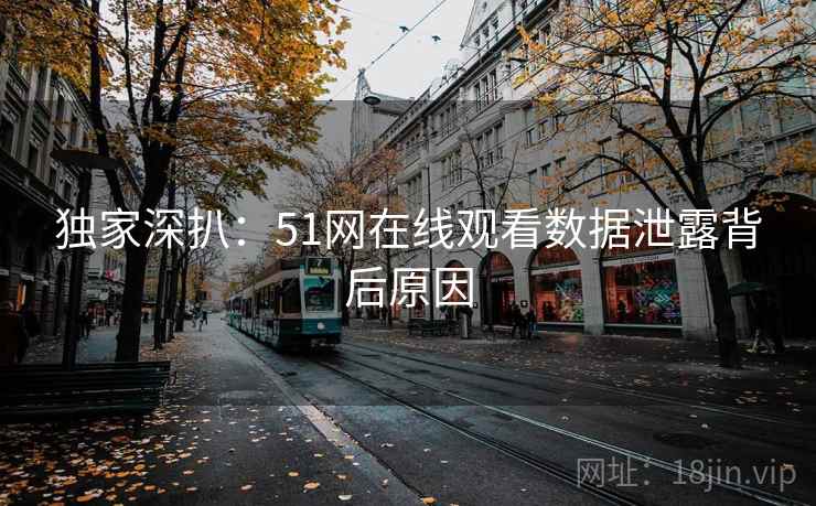 独家深扒:51网在线观看数据泄露背后原因 独家深扒:51网在线观看数据泄露背后原因