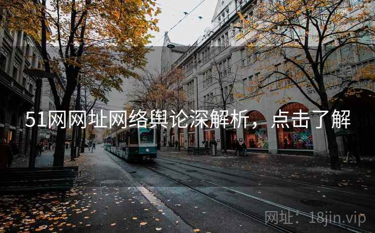 51网网址网络舆论深解析，点击了解